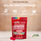 Sugar Savior – gommes vitamine D et zinc, soutien nutritionnel quotidien