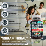 Gommes Terramineral à la crinière de lion, soutien concentration et relaxation potentielle.