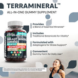Gommes Terramineral à la maca, énergie et équilibre hormonal potentiel.