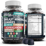 Terramineral shilajit gommes par Clean Nutraceuticals, texture gourmande et soutien potentiel à la vitalité.