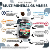 Gommes Terramineral au tongkat ali, potentiel regain de vitalité et soutien immunitaire.