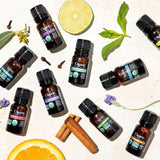 Sans OGM et végan: Cliganic Citronelle biologique respectueuse.