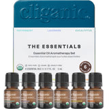 Cliganic menthe, flacon avec pipette, parfum frais pour diffusion rapide