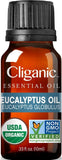 Goutte d'huile essentielle Cliganic eucalyptus prête pour diffusion douce.