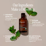 Diffuseur aromathérapie avec Cliganic menthe biologique pour une ambiance rafraîchissante.