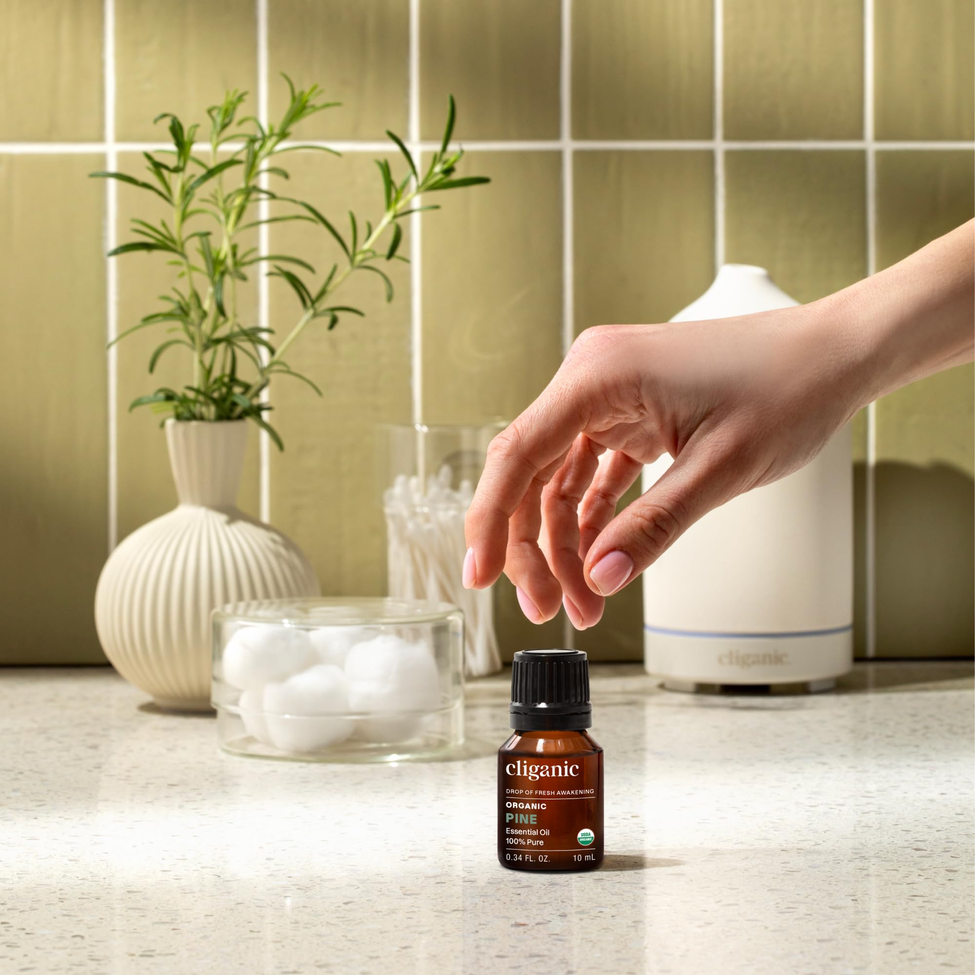 Cliganic Pin Bio — diffuseur prêt, parfum boisé pour une atmosphère apaisante.