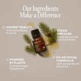 Cliganic Huile Pin Bio — accompagnement idéal pour parfum boisé et bien-être maison.