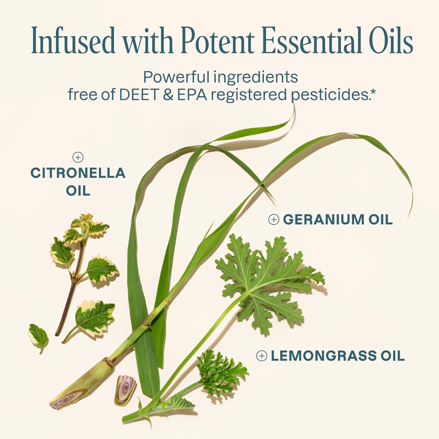 Idéal en extérieur — Cliganic pour parcs, randonnées et camping.