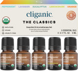 Cliganic menthe-poivrée — bouteille d'huile essentielle pour rafraîchir l'atmosphère et stimuler l'esprit.