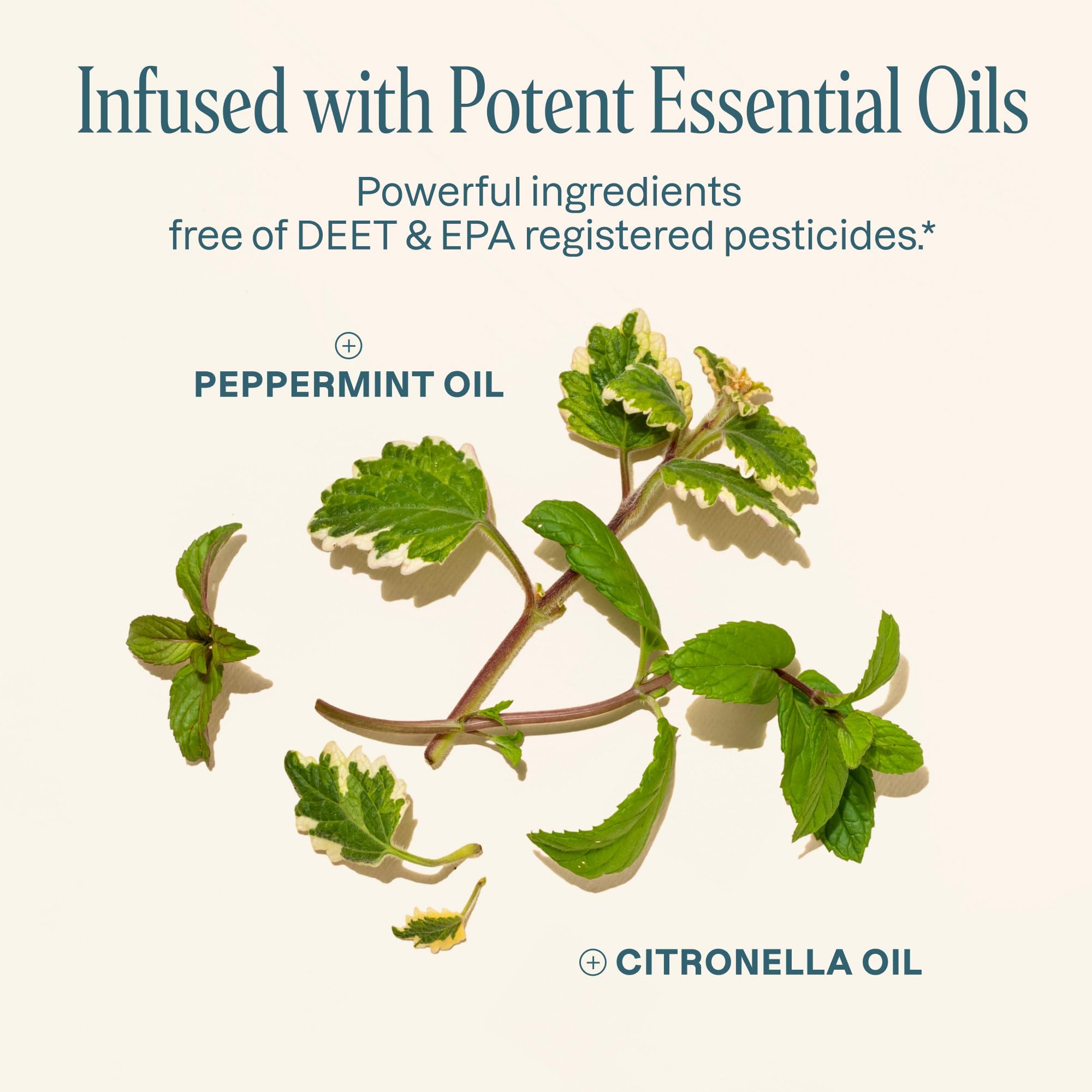 Patchs sans DEET infusés d'huiles essentielles, usage sûr.