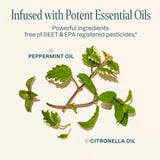 Patchs sans DEET infusés d'huiles essentielles, usage sûr.