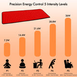 Clocness confort articulaire chien lors des sessions lumineuses