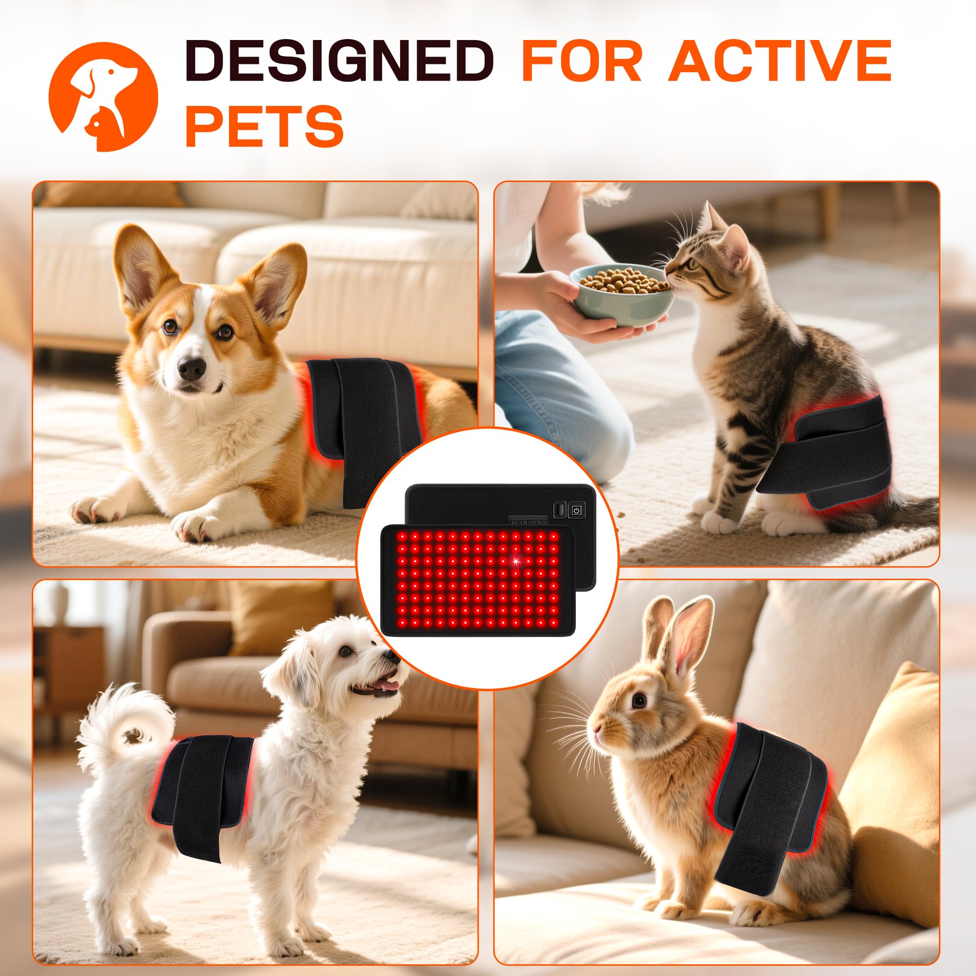 Clocness Design compact et portable, idéal en voyage avec chien.