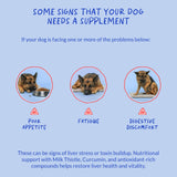 Coco and Luna fabrication américaine, ingrédients sourcés pour chiens.