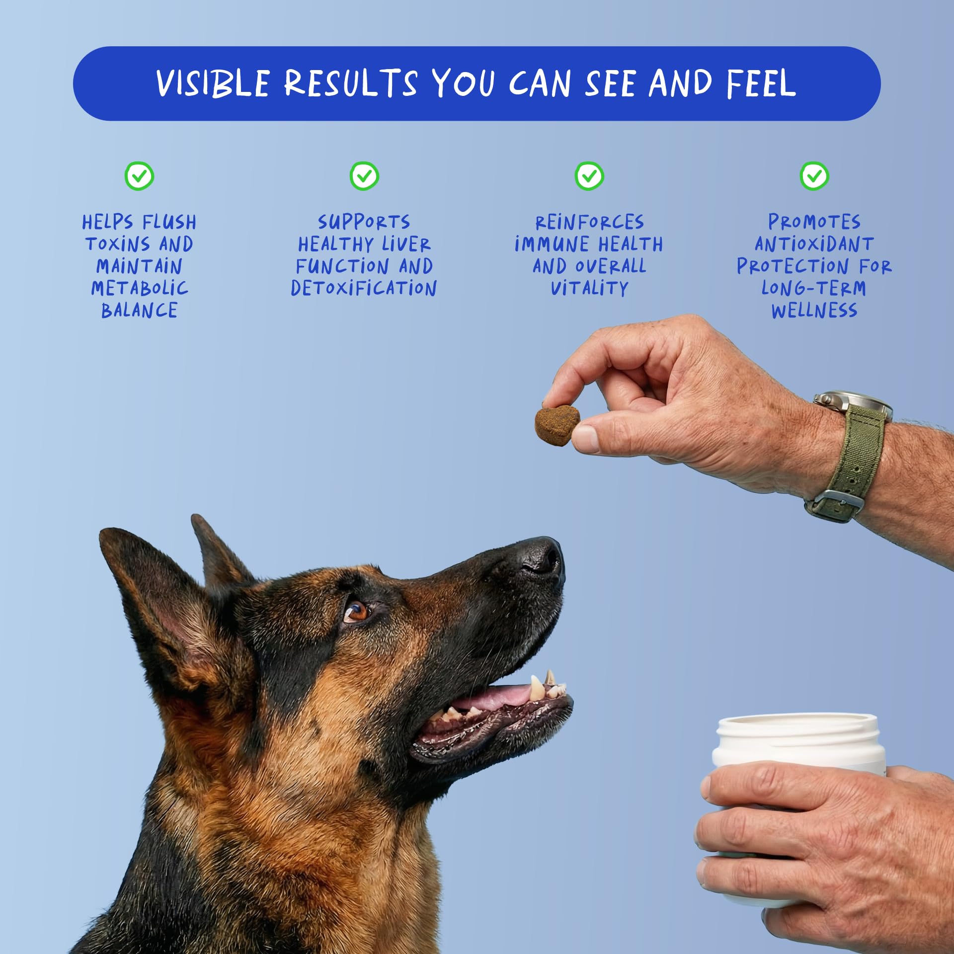 Coco and Luna complément canin rénal, choline et arginine pour fonction rénale optimisée.