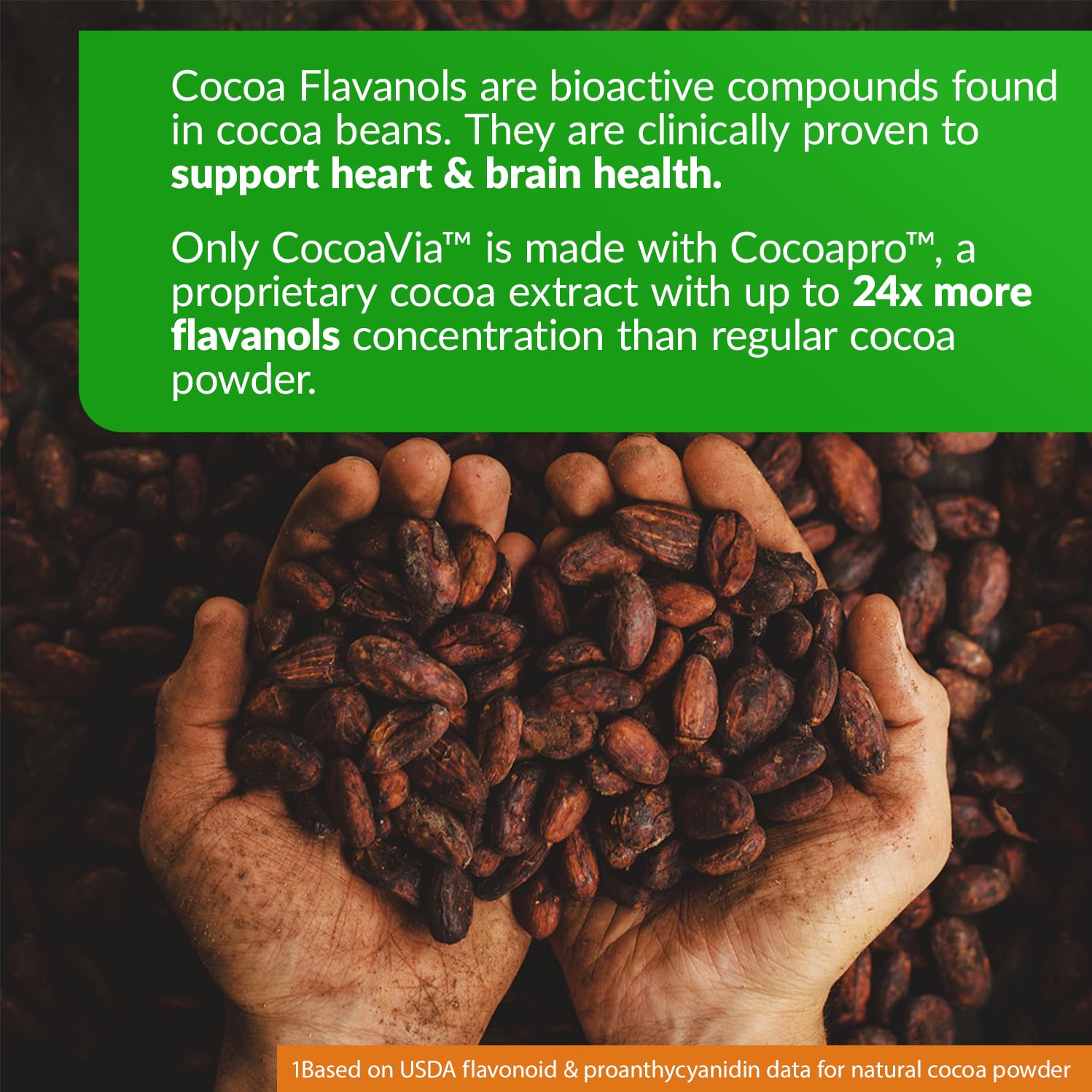 CocoaVia: flacon concentré en flavanols, concentration élevée