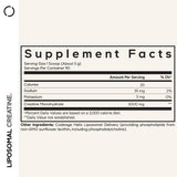 Codeage Liposomal Creatine en poudre, dose quotidienne — pratique et facile à mesurer.