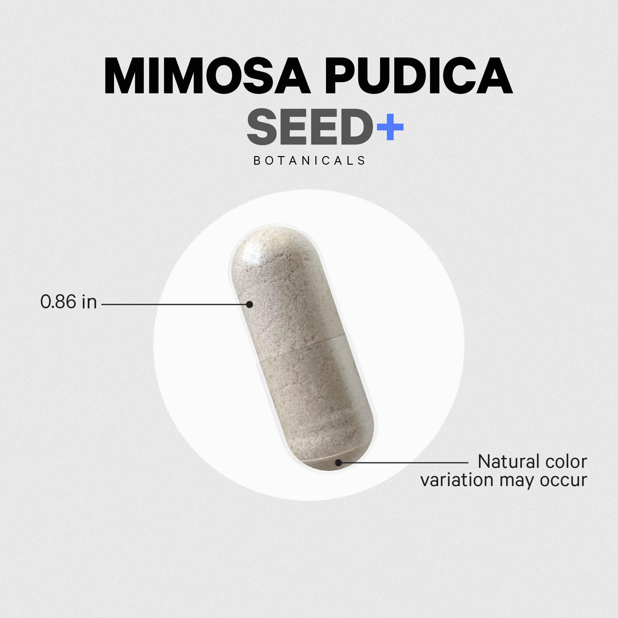 Boîte Codeage Mimosa Pudica affichant 120 capsules pour 40 portions.