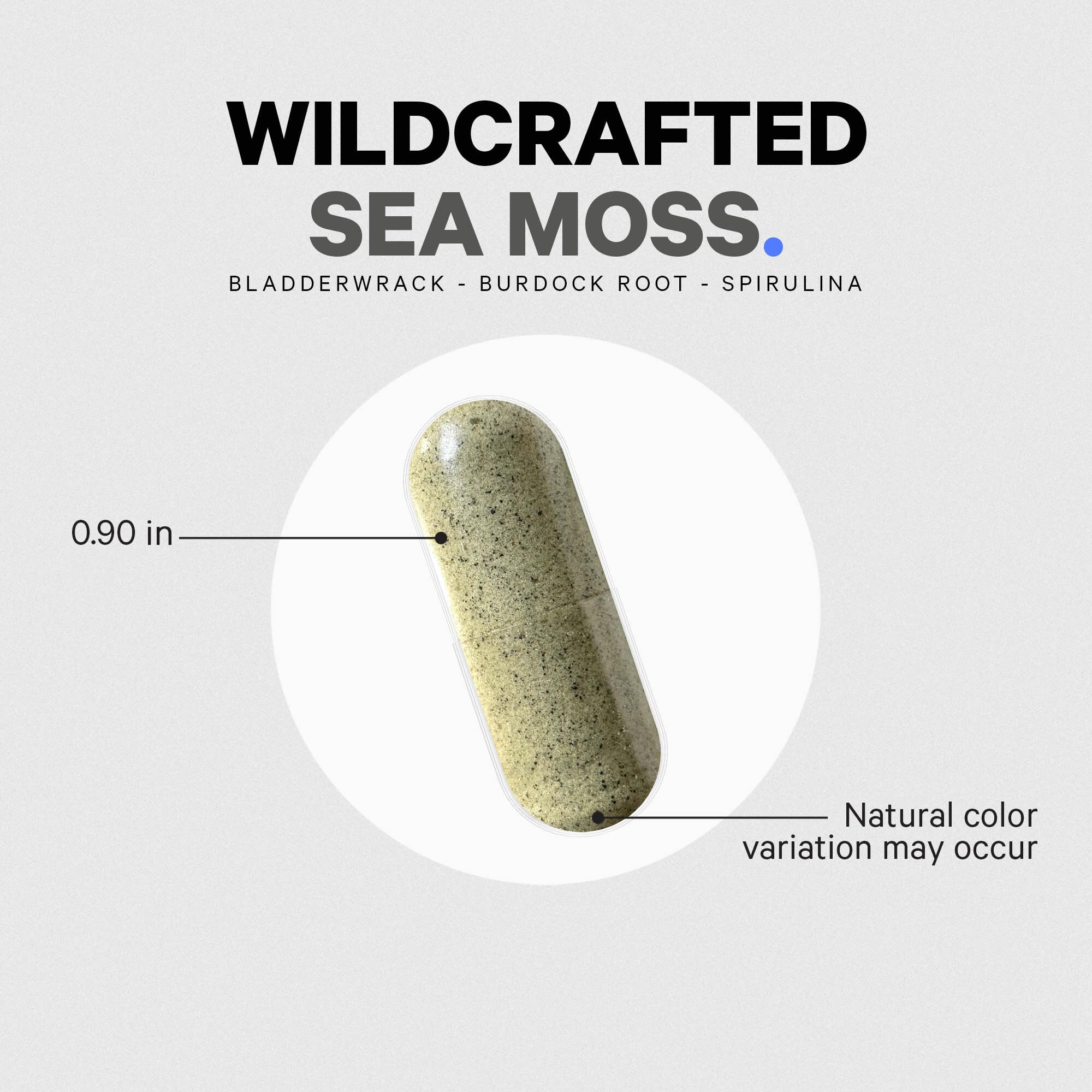 Codeage Sea Moss – fabrication américaine dans une installation certifiée