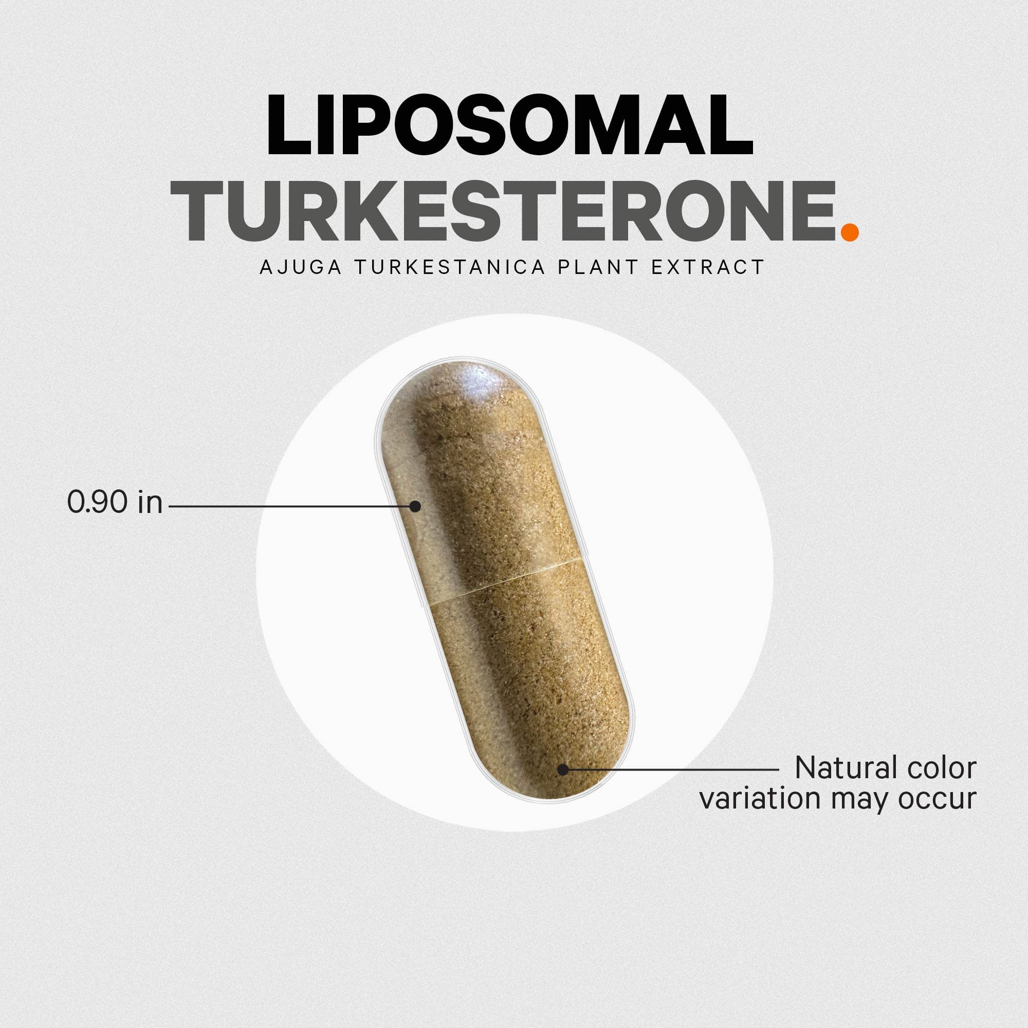 Version sans gluten Codeage Turkesterone adaptée aux régimes sensibles