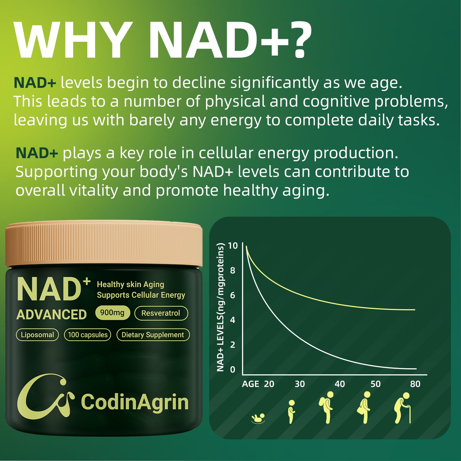 CodinAgrin NAD+ – Clarté mentale: aide possible lors de tâches exigeantes