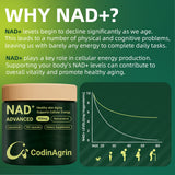 CodinAgrin NAD+ – Clarté mentale: aide possible lors de tâches exigeantes