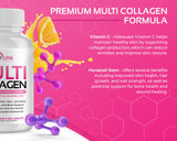CogniTune Absorption: meilleure assimilation des nutriments.