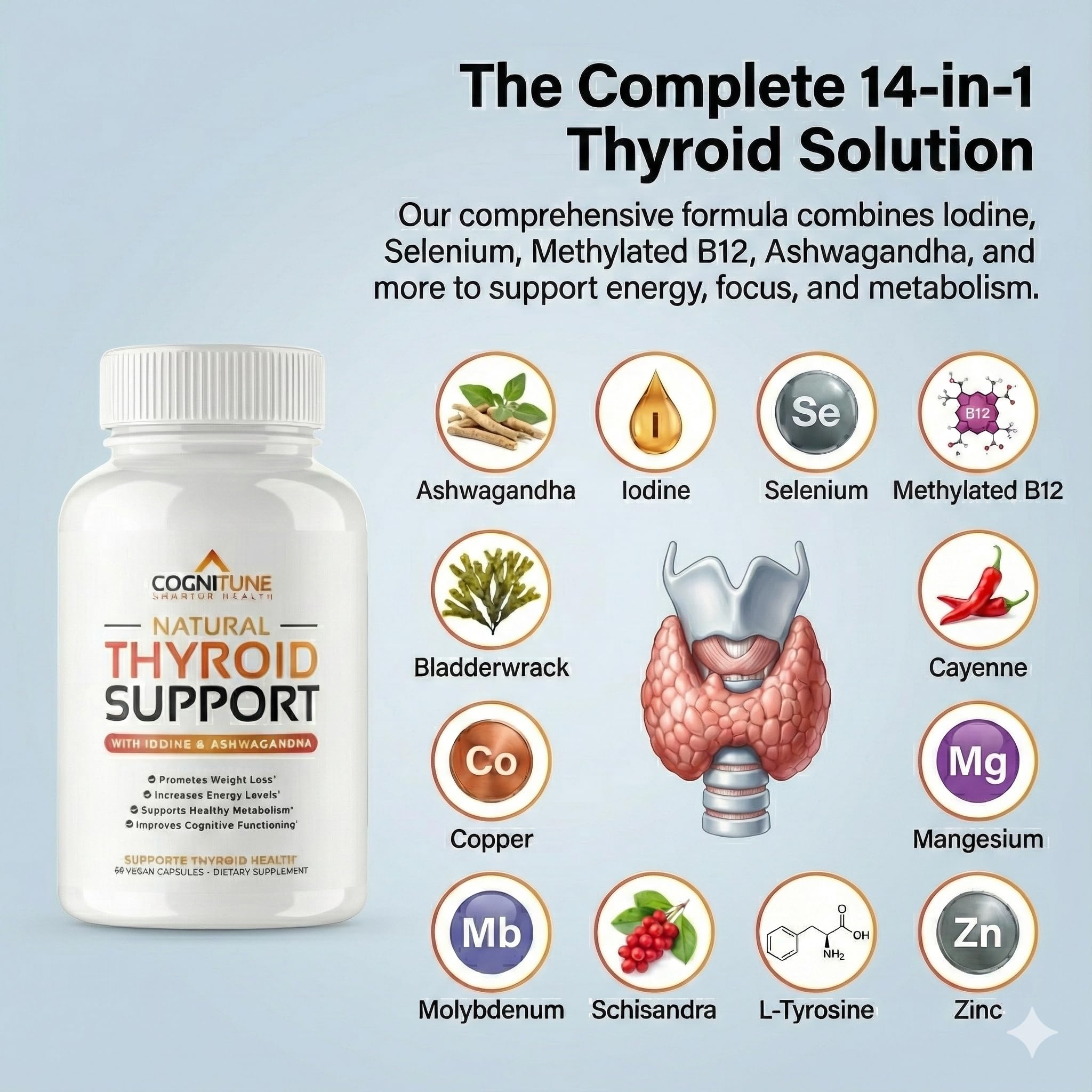 Gélules CogniTune Thyroid, présentation de la forme prête à l’emploi pour absorption potentielle.