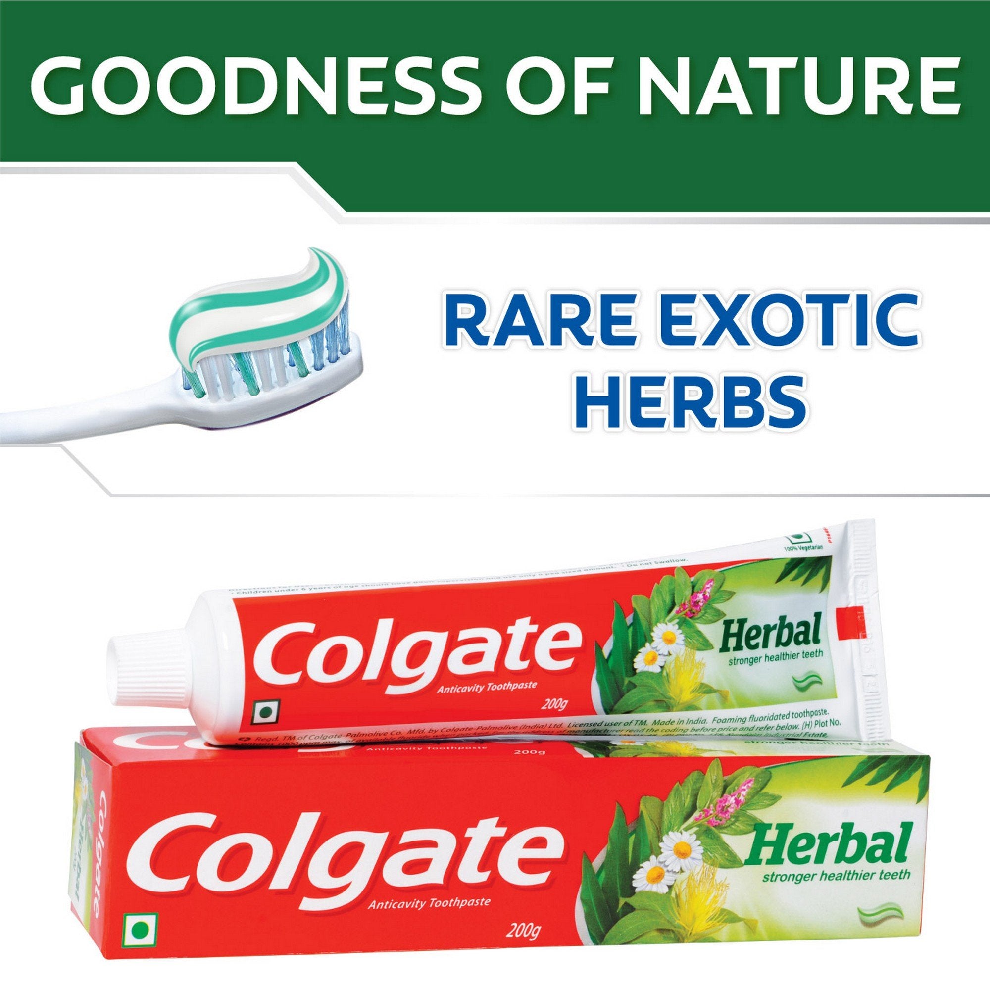 Dentifrice Colgate anticaries aux herbes sur la brosse à dents prête