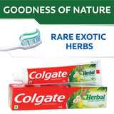 Dentifrice Colgate anticaries aux herbes sur la brosse à dents prête