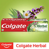 Colgate Herbal – application lors du brossage pour une expérience fraîche et efficace