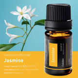 Colobles diffuseur sans eau en action pour une ambiance calme.