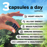 Capsules oméga-3 DHA/EPA de Complement pour cœur et concentration.