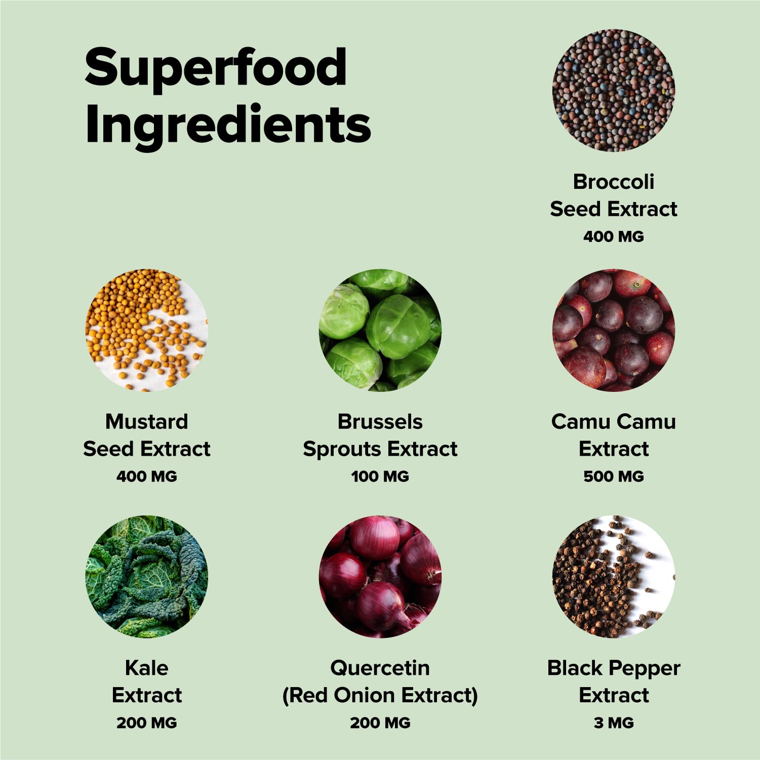 Complément Sulfora: graines de moutarde pour activer le sulforaphane de façon naturelle.