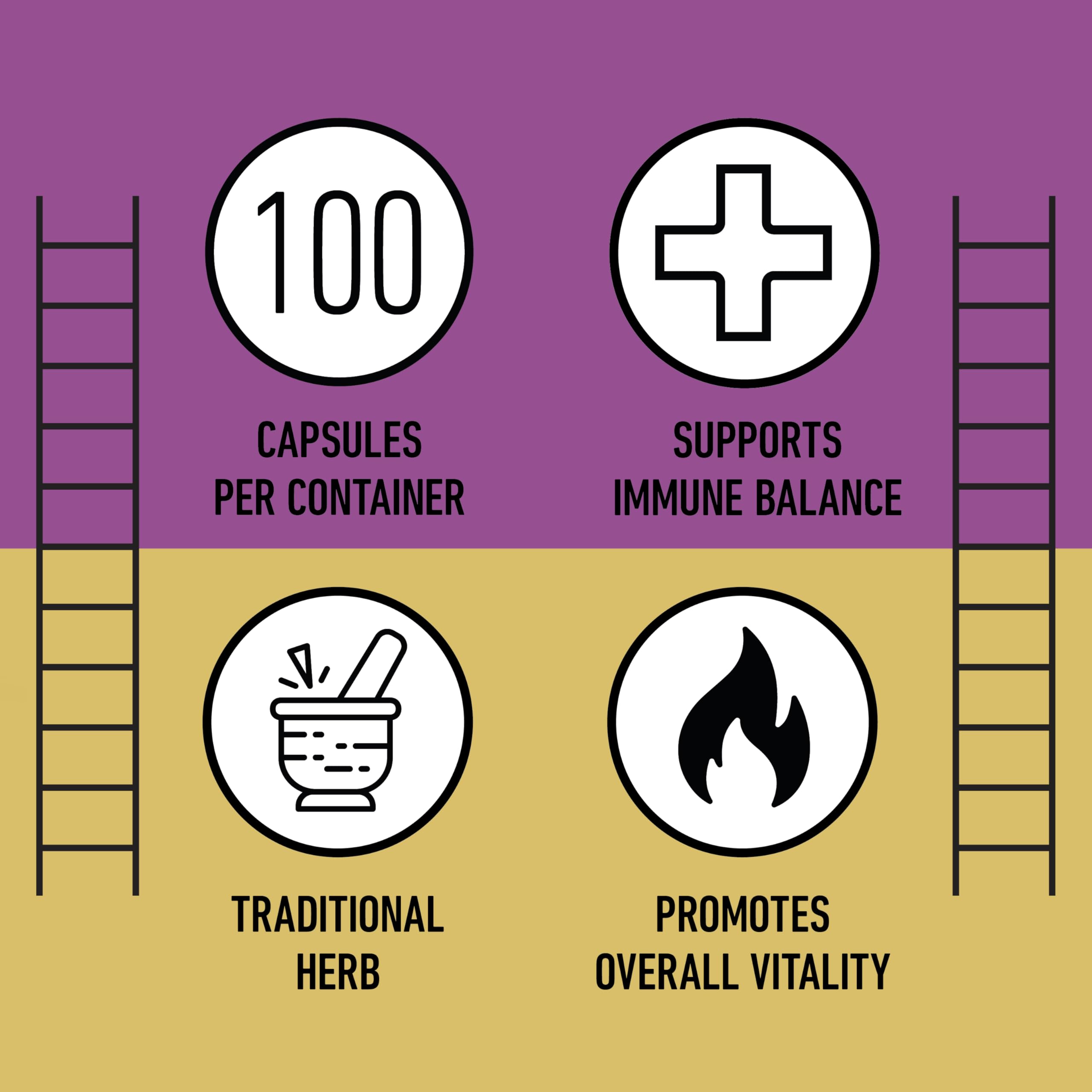 Sans gluten echinacée, capsule végétale adaptée.