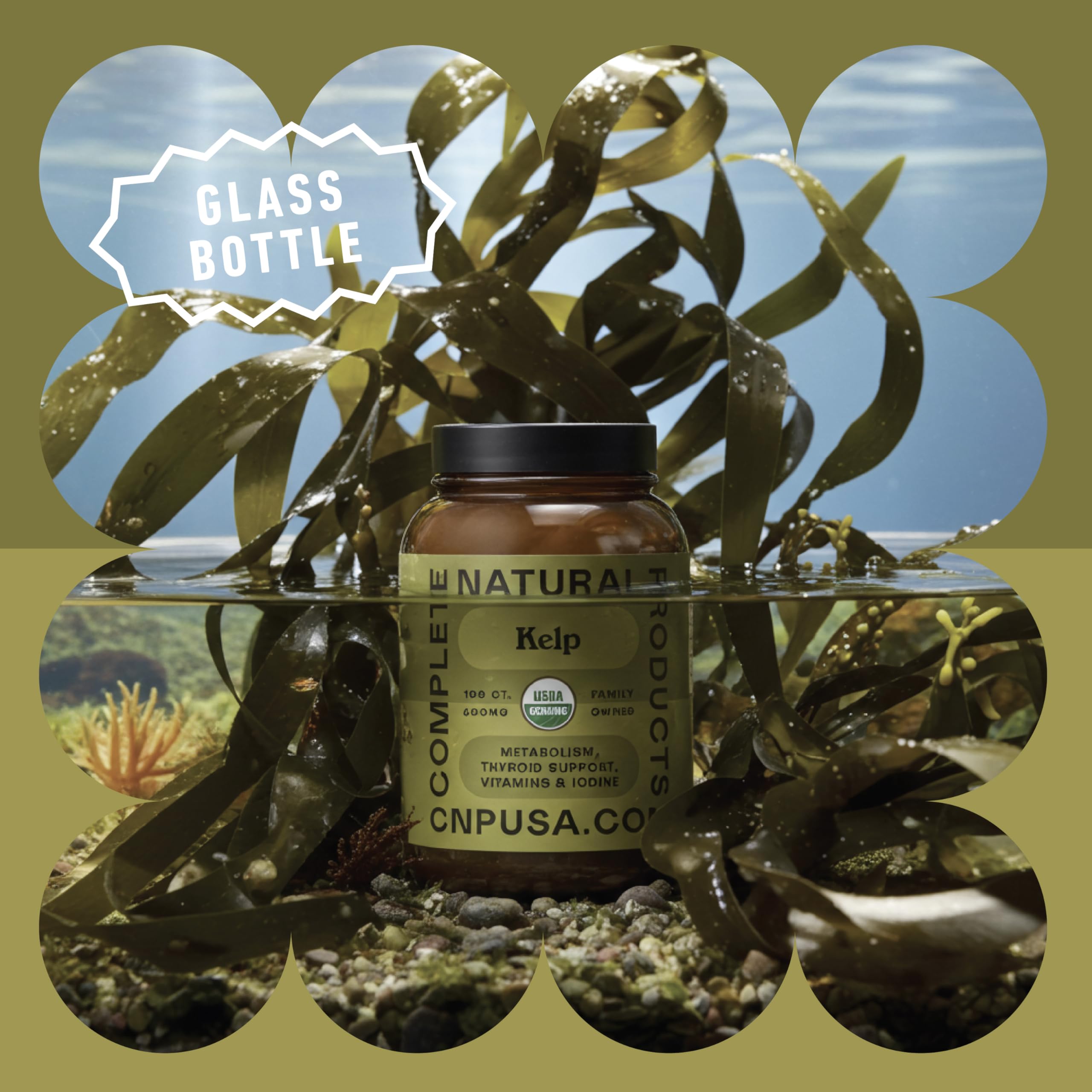 Complete Natural Products poudre algue islandaise, image d'un ingrédient naturel riche en iode.