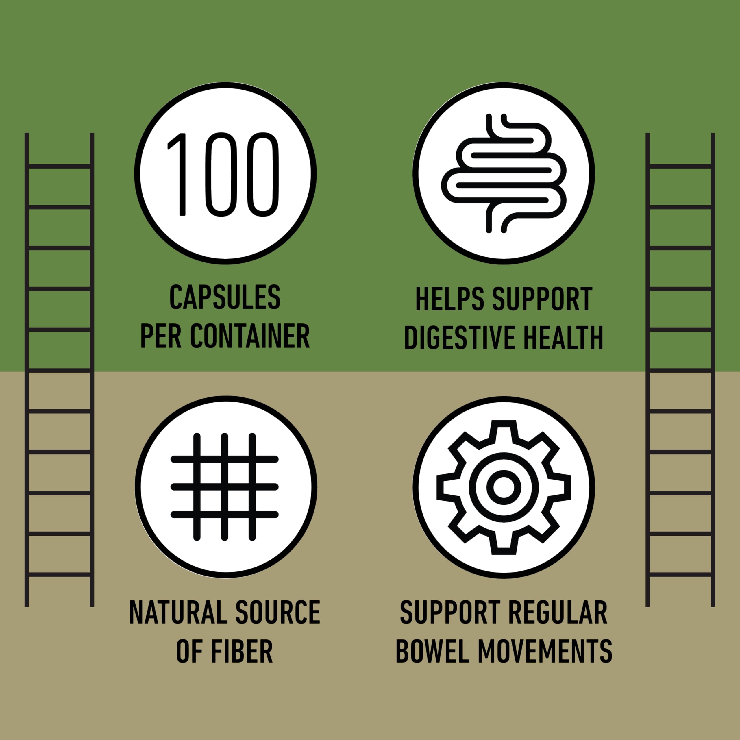 Source Jérusalem artichaut: Complete Natural Products Inuline 520mg, fibre naturelle