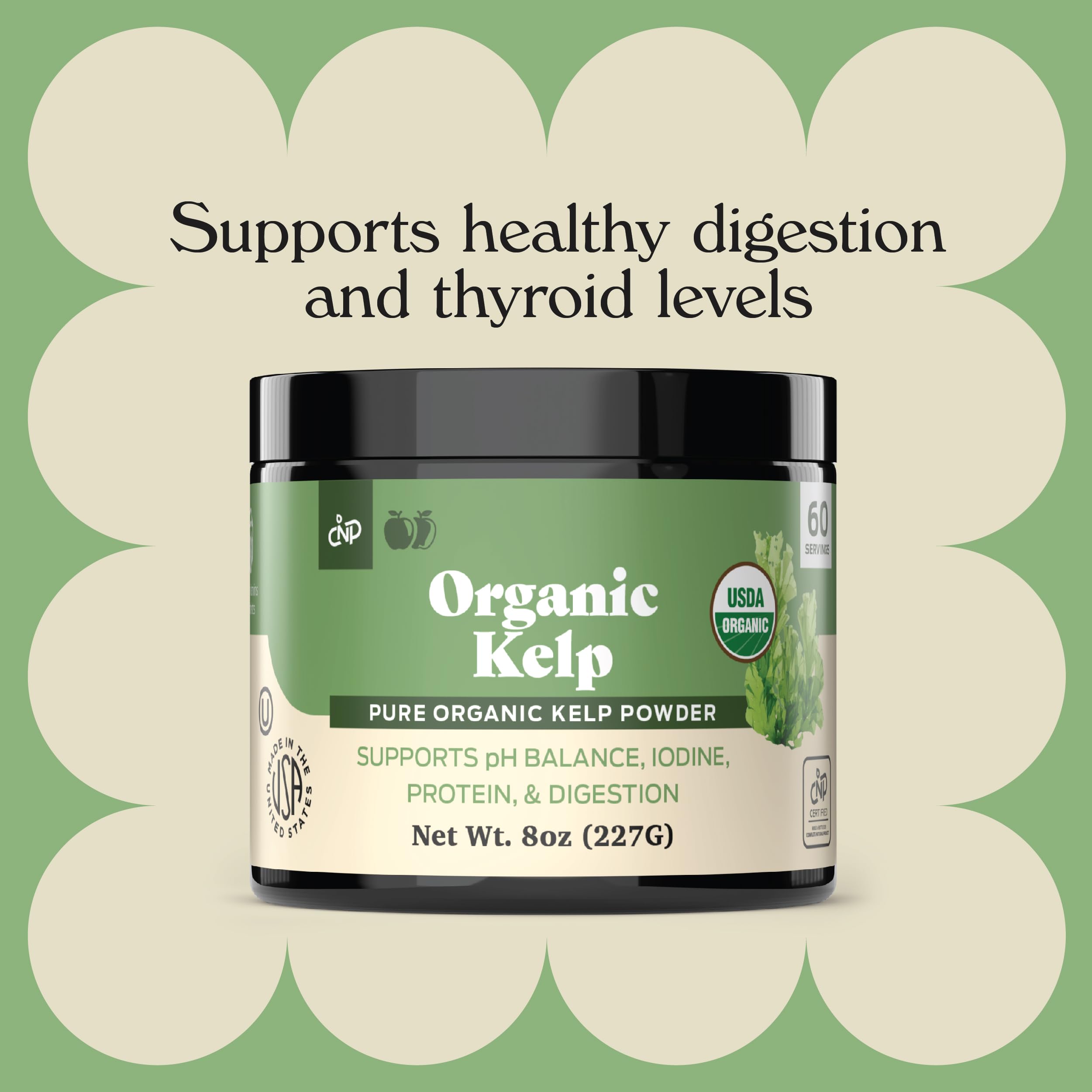 Complete Natural Products Bol de poudre kelp bio prêt à être ajouté.
