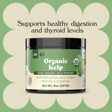 Complete Natural Products Bol de poudre kelp bio prêt à être ajouté.