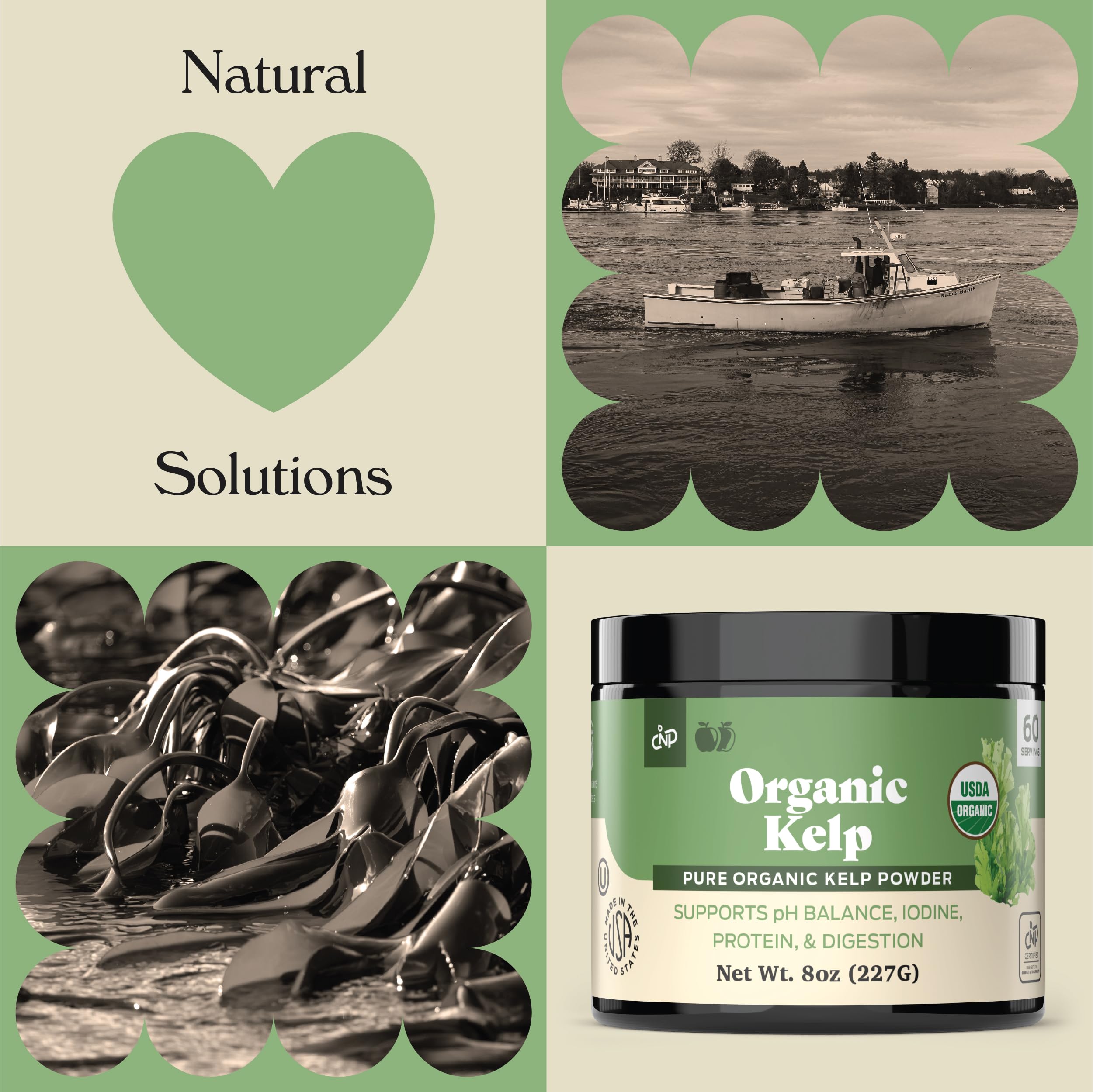 Complete Natural Products Poudre kelp se dissolvant dans l’eau, parfaite pour les boissons.