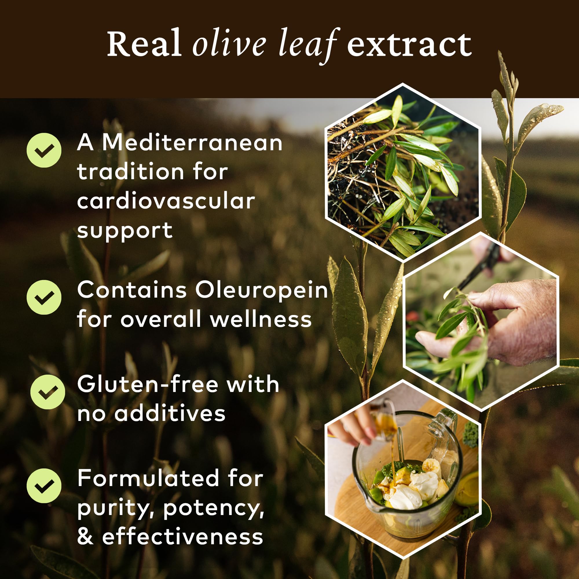 COMVITA Extrait Feuille Olive – flacon et étiquette, naturel et frais
