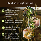 COMVITA Extrait Feuille Olive – flacon et étiquette, naturel et frais