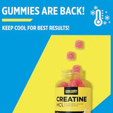 Texture des gommes CON-CRET, dégustation agréable et facile à mâcher.