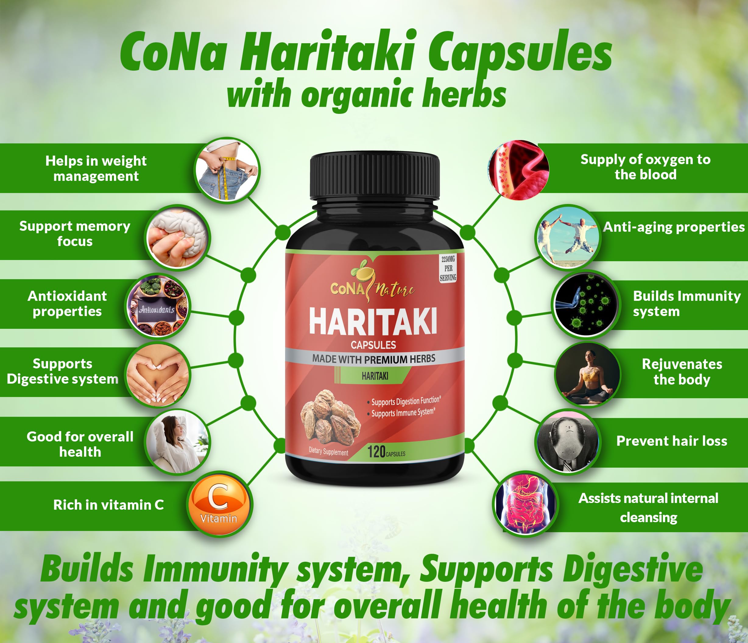 Icônes vegan et sans gluten associées à Cona Nature Haritaki.