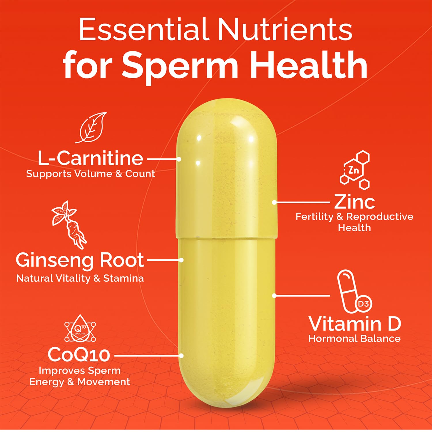 CONCEIVE PLUS vitamines fertilité hommes: complément quotidien