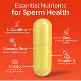 CONCEIVE PLUS vitamines fertilité hommes: complément quotidien