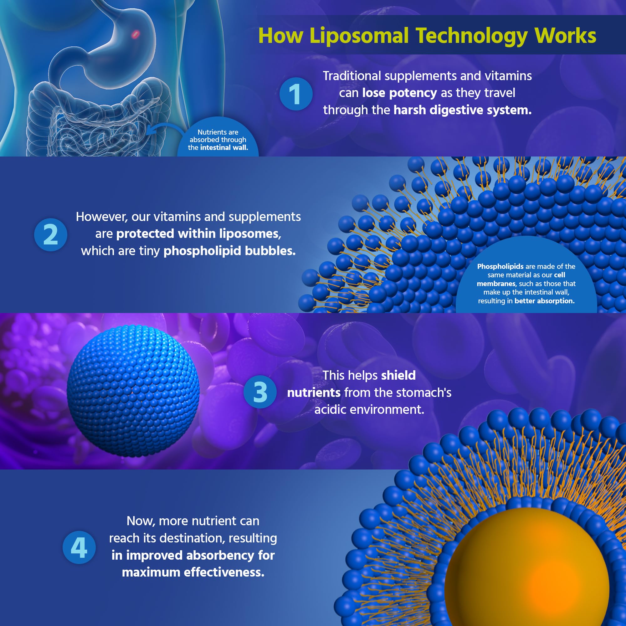 Mode d’emploi quotidien du glutathion liposomal Core Med Science pour routine simple.