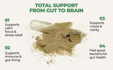 COREHEALTH Gut-Brain Synergy - zinc-vitamines-d: soutien immunitaire et intégrité intestinale.