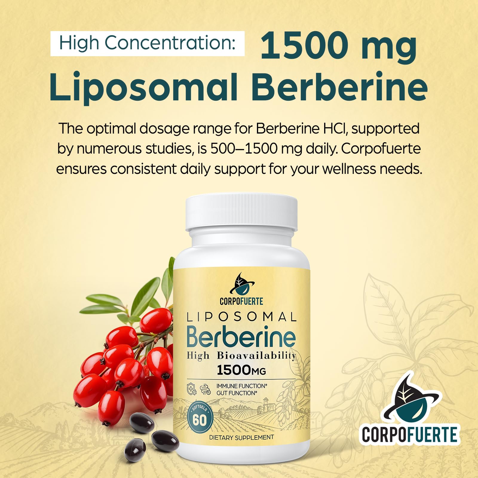 Corpofuerte Liposomal Berberine HCl 1500 Mg Activateur AMPK Et quil corpofuerte-liposomal-berberine-hcl-1500-mg-activateur-ampk-et-quil