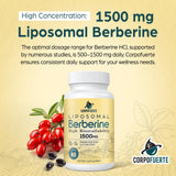 Corpofuerte Berberine bien-être quotidien: intégration simple dans la routine.